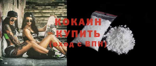 гидра Михайловка