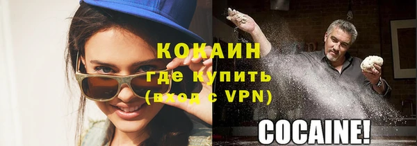 гидра Михайловка