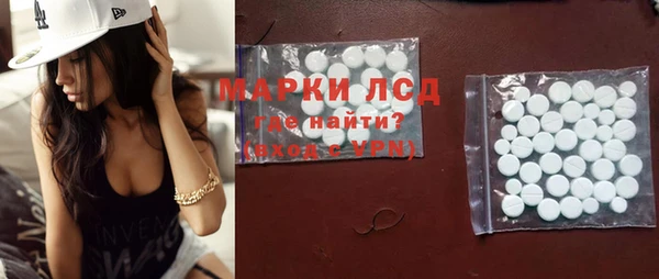 гидра Михайловка