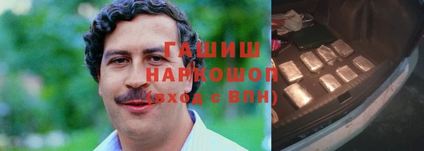гидра Михайловка