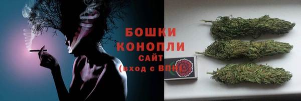 гидра Михайловка