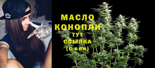 гидра Михайловка