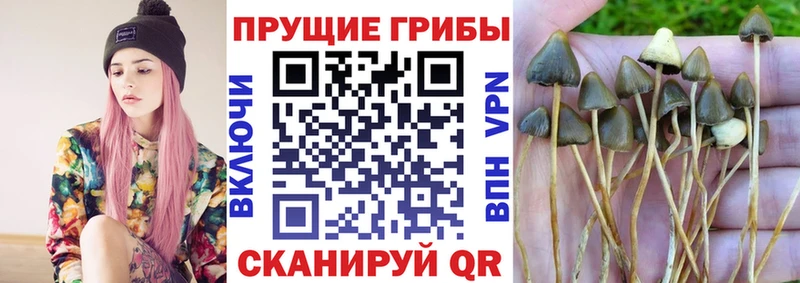 Псилоцибиновые грибы Magic Shrooms  Рудня 